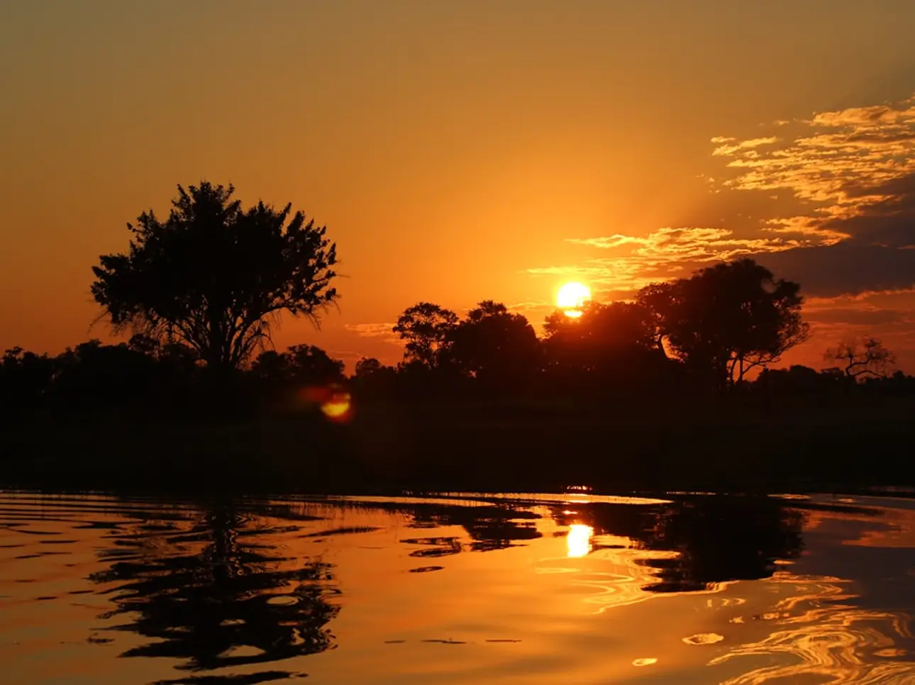 Into the Okavango: Southern Nights