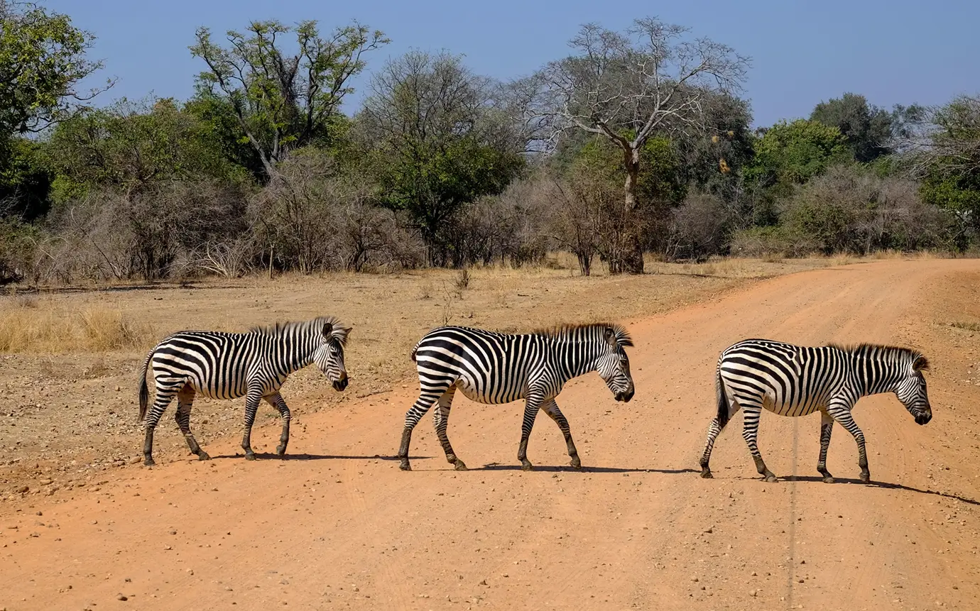 Tanzania